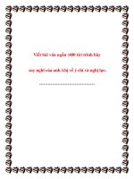 Văn phân tích lớp 12: Trình bày suy nghĩ về ý chí và nghị lực.