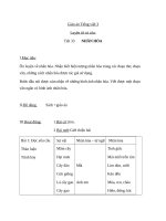 Bài Luyện từ và câu: Ôn luyện về nhân hóa - Giáo án Tiếng việt 3 - GV.Hoàng Thi Thơ