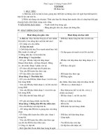 giao an tuan 3 l4 2 buoi