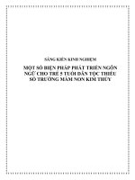 SKKN: Một số biện pháp phát triển ngôn ngữ cho trẻ 5 tuổi dân tộc thiểu số trường Mầm non Kim Thủy