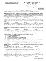 Đề thi khảo sát giữa HK 2 môn Vật lí lớp 10 năm 2016-2017 - THPT Nguyễn Văn Cừ - Mã đề 019