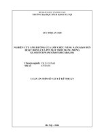 Thiết kế chế tạo hệ đo bức xạ đIện từ và bước đầu ứng dụng trong nghiên cứu môI trường và trong y học