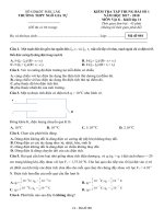 Đề kiểm tra tập trung bài số 1 môn Vật lí lớp 11 năm 2017-2018 - THPT Ngô Gia Tự - Mã đề 001