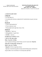 Đề cương ôn tập học kì 1 môn Ngữ văn lớp 11 năm 2020-2021 - Trường THPT Trần Phú