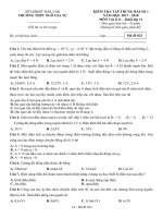 Đề kiểm tra tập trung bài số 1 môn Vật lí lớp 11 năm 2017-2018 - THPT Ngô Gia Tự - Mã đề 023