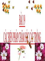 Bài giảng Công nghệ 7 bài 19: Các biện pháp chăm sóc cây trồng