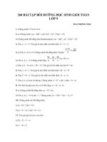 20 Bài tập bồi dưỡng học sinh giỏi Toán lớp 9 - Mai Trọng Mậu