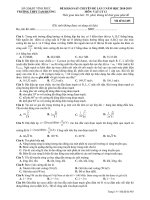 Đề thi khảo sát chuyên đề môn Vật lí lớp 12 năm 2018-2019 lần 3 - THPT Tam Dương - Mã đề 485