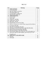 Sáng kiến kinh nghiệm: Một số biện pháp giúp trẻ tích cực tham gia vào hoạt động khám phá khoa học