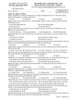 Đề thi HK1 môn GDCD lớp 12 năm 2018-2019 - Sở GD&ĐT Thái Nguyên - Mã đề 182