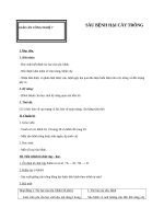 Giáo án Công nghệ 7 bài 12: Sâu bệnh hại cây trồng