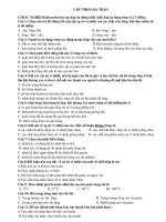 Đề kiểm tra và đáp án môn vật lý lớp 6 Có đáp án