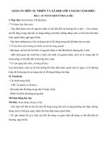 Giáo án môn Tự nhiên và xã hội lớp 1 sách Cánh Diều - Bài 3: An toàn khi ở nhà