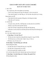 Giáo án môn Toán lớp 1 sách Cánh Diều - Bài 55: Em vui học Toán