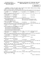 Đề thi KSCL giữa HK2 môn Hóa học lớp 12 năm 2016-2017 - THPT Nghi Lộc - Mã đề 011