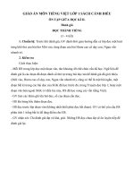 Giáo án môn Tiếng Việt lớp 1 sách Cánh Diều - Bài ôn tập giữa học kì 2