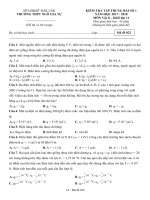 Đề kiểm tra tập trung bài số 1 môn Vật lí lớp 11 năm 2017-2018 - THPT Ngô Gia Tự - Mã đề 022