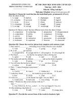 Đề thi HSG cấp huyện đợt 1 môn tiếng Anh lớp 9 năm 2015-2016 - Phòng GD&ĐT Lương Tài - Đề số 9