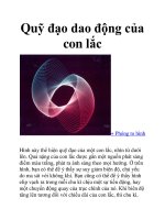 Quỹ đạo dao động của con lắc