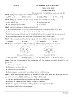 4  đề thi thử TN THPT 2021   môn sinh học   nhóm GV MGB   đề 4   file word có lời giải chi tiết 