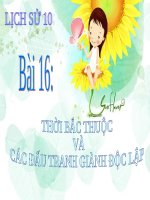 Bài giảng Lịch sử lớp 10 - Bài 16: Thời bắc thuộc và các đấu tranh giành độc lập