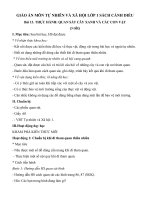 Giáo án môn Tự nhiên và xã hội lớp 1 sách Cánh Diều - Bài 13: Thực hành: Quan sát cây xanh và các con vật