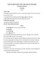 Giáo án môn Tiếng Việt lớp 1 sách Cánh Diều - Bài ôn tập cuối năm