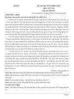 5  đề thi thử TN THPT 2021   môn ngữ văn   nhóm GV MGB   đề 5   file word có lời giải chi tiết 