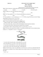 15  đề thi thử TN THPT 2021   môn sinh học   nhóm GV MGB   đề 15   file word có lời giải chi tiết 