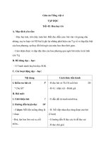 Giáo án bài Tập đọc: Hoa học trò - Tiếng việt 4 - GV.N.Hoài Thanh