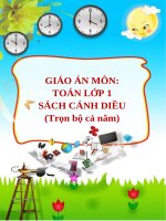 Giáo án môn Toán lớp 1 sách Cánh Diều (Trọn bộ cả năm)