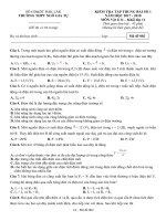 Đề kiểm tra tập trung bài số 1 môn Vật lí lớp 11 năm 2017-2018 - THPT Ngô Gia Tự - Mã đề 002
