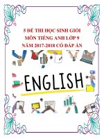 5 đề thi học sinh giỏi môn Tiếng Anh lớp 9 năm 2017-2018 có đáp án
