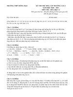 Đề thi chọn HSG môn Hóa lớp 11 năm 2020 - 2021 THPT Đồng Đậu có đáp án chi tiết | Hóa học, Lớp 11 - Ôn Luyện