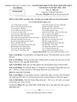 Đề thi chọn đội tuyển học sinh giỏi môn Ngữ văn 9 năm 2018-2019 có đáp án - Phòng GD&ĐT Hà Trung