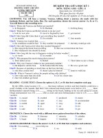 Đề thi giữa HK 1 môn tiếng Anh lớp 11 năm học 2017-2018 - THPT Chuyên Lương Thế Vinh - Mã đề 112