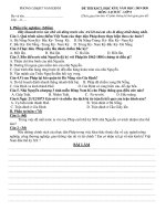 Đề thi học kì 2 môn Lịch sử lớp 8 năm 2019-2020 có đáp án – Trường THCS Hoàng Văn Thụ