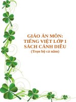 Giáo án môn Tiếng Việt lớp 1 sách Cánh Diều (Trọn bộ cả năm)