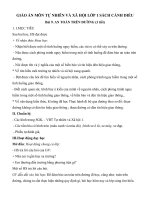 Giáo án môn Tự nhiên và xã hội lớp 1 sách Cánh Diều - Bài 9: An toàn trên đường