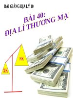 Bài giảng Địa lý 10 bài 40: Địa lý ngành thương mại