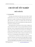 Luận văn tốt nghiệp xây dựng kế hoạch road show tung sản phẩm MEP ra thị trường 