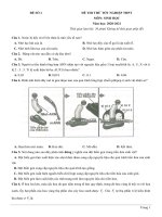 1  đề thi thử TN THPT 2021   môn sinh học   nhóm GV MGB   đề 1   file word có lời giải chi tiết 