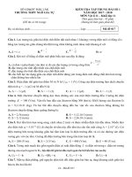 Đề kiểm tra tập trung bài số 1 môn Vật lí lớp 11 năm 2017-2018 - THPT Ngô Gia Tự - Mã đề 017