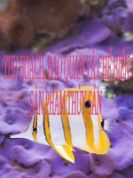 Bài giảng Công nghệ 7 bài 55: Thu hoạch, bảo quản và chế biến sản phẩm thủy sản