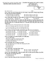 Đề kiểm tra KSCL giữa HK 2 môn Sinh học lớp 11 - THPT Nguyễn Văn Cừ - Mã đề 04