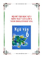 Bộ đề thi học kì 2 môn Ngữ Văn lớp 6 năm 2017-2018 có đáp án