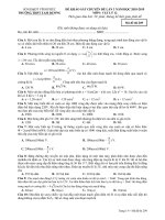 Đề thi khảo sát chuyên đề môn Vật lí lớp 12 năm 2018-2019 lần 3 - THPT Tam Dương - Mã đề 209