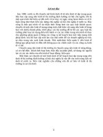 phát triển nền kinh tế thị thườngđịnh hướng xã hội chủ nghĩa 