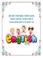 Bộ đề thi học sinh giỏi môn Tiếng Anh lớp 9 năm 2018-2019 có đáp án