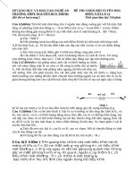 Đề thi chọn đội tuyển học sinh giỏi có đáp án: Môn Vật lý - Trường THPT Nguyễn Duy Trinh